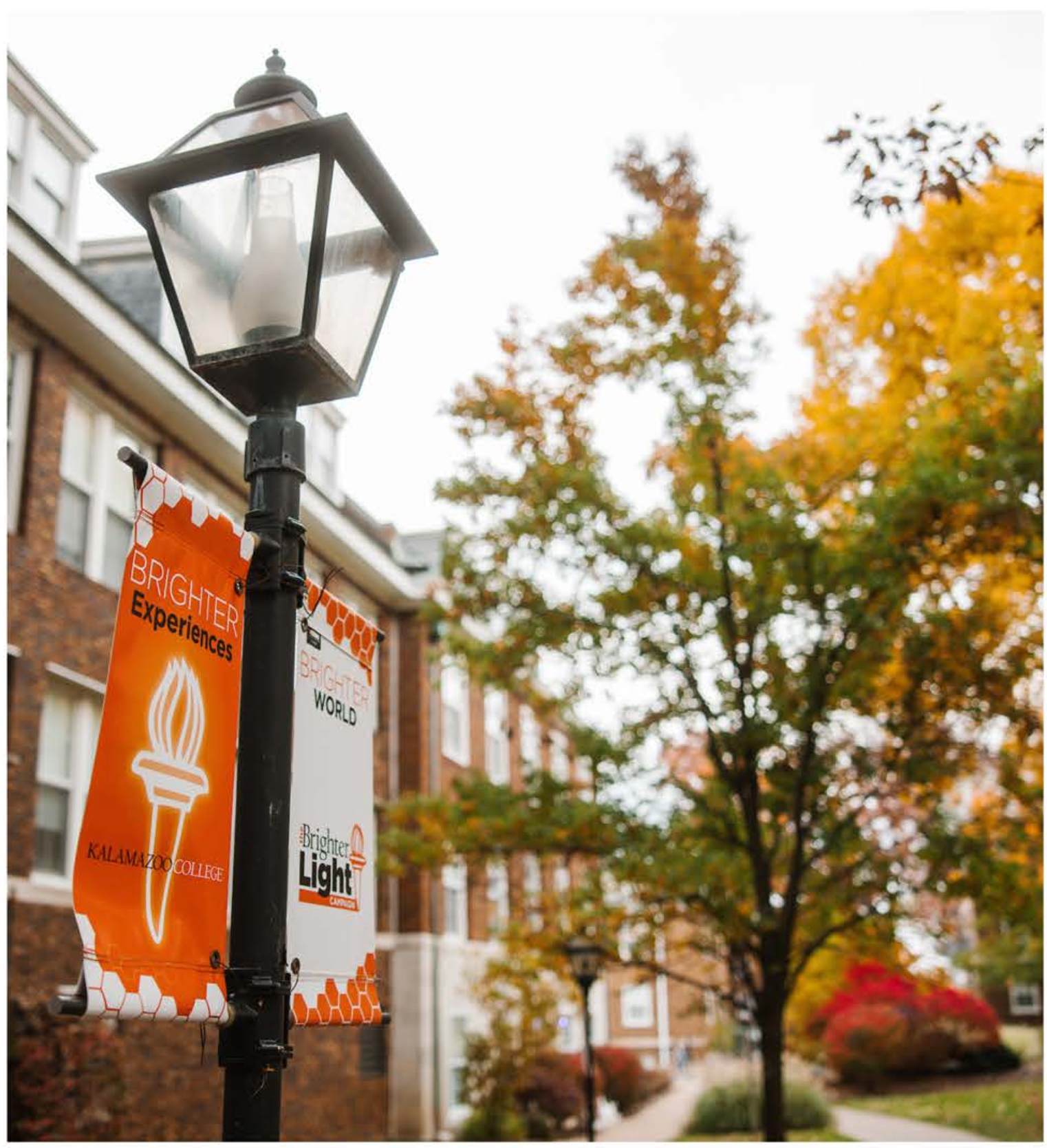 Brighter Light Campaign sign posts